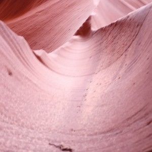 Meet your Posher, Noel